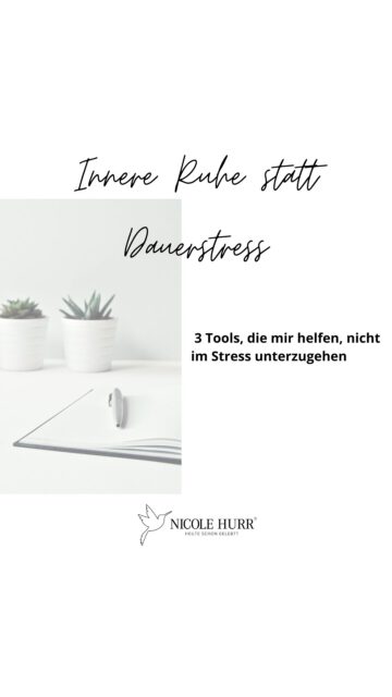 🌀 Wenn alles zu viel wird: 3 Tools, die mir helfen, nicht im Stress zu versinken und die die auch du kennen solltest. 

1. Struktur & Planung: Priorisieren statt alles gleichzeitig wollen. Was ist heute wirklich wichtig?

2. Körperbewusstsein stärken: Mini-Bodyscans bringen mich zurück ins Jetzt – raus aus dem Gedankenkarussell, rein ins Spüren.

3. Vagusnerv aktivieren: Tiefe Atmung, Summen oder sanfte Berührung helfen, mein Nervensystem runterzufahren.

✨ Welches Tool spricht dich am meisten an? Was nutzt du bereits vielleicht schon? 

#psychology #psychologie #mentalhealth #stress #stressreliever #coaching #beratung #tipps #planning #structure #reflexion #bodyscan #need #boundaries #hacks #vagusnerv #nervensystemregulation #regulation