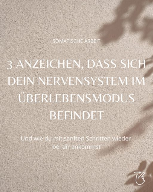 Was bedeutet eigentlich der Überlebensmodus und wie kann er sich auf dein Denken, Fühlen & Handeln auswirken? 

Genau das schauen wir uns heute gemeinsam an und wie du diesem Zustand begegnen kannst. Hier geht’s nicht um noch mehr - sondern von was weniger. 🫂

#funktionsmodus #psychology #nervoussystemregulation #somaticexperiencing sicherheit