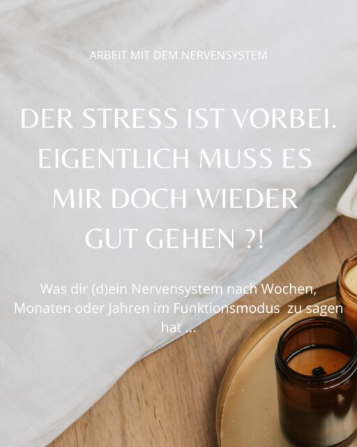 Der Stress ist vorbei. Eigentlich muss es mir doch wieder gut gehen?! 

#psychology #nervensystemregulation #nervoussystemregulation #stress #stressrelief
