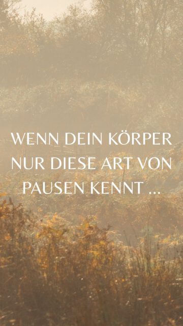 Wenn dein Körper nur diese Art von Pause kennt … welche Signale kannst du bereits vorher wahrnehmen die dir ein Gefühl von „zu viel“ geben?
#sick #illness #mentalhealth #break #recovery